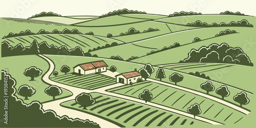 Aerial view of a sprawling vineyard with rows of grapevines and a farmhouse in the distance Vector