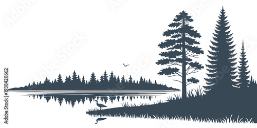 Serene landscape with tall pine trees and a calm lake reflecting the forest. Vector