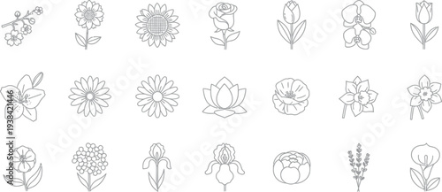 Collection of various delicate flower line art icons perfect for simple designs