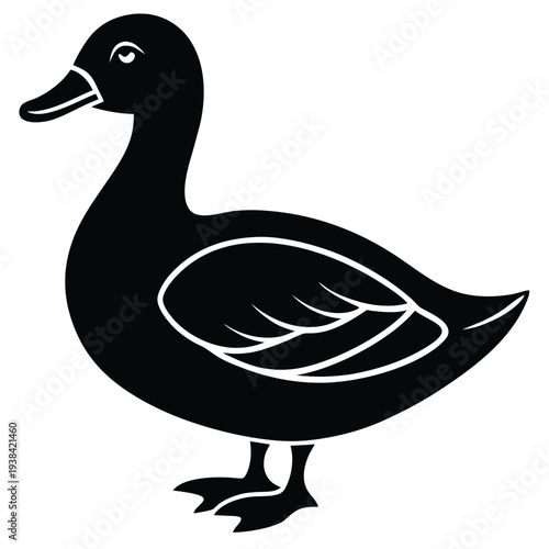 duck illustration vector