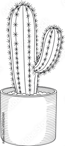 Simple black and white line drawing illustration of a potted cactus plant