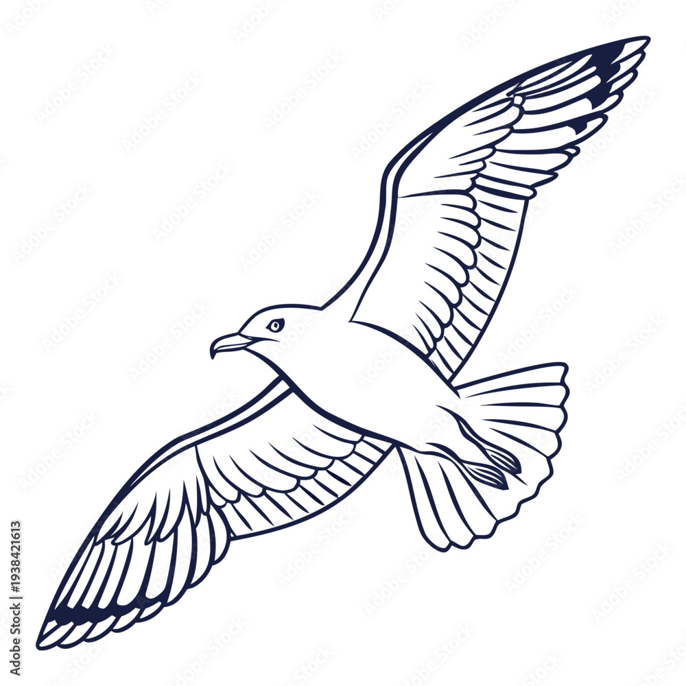 Fototapeta premium A detailed illustration of a bird in flight with intricate feather details Vector