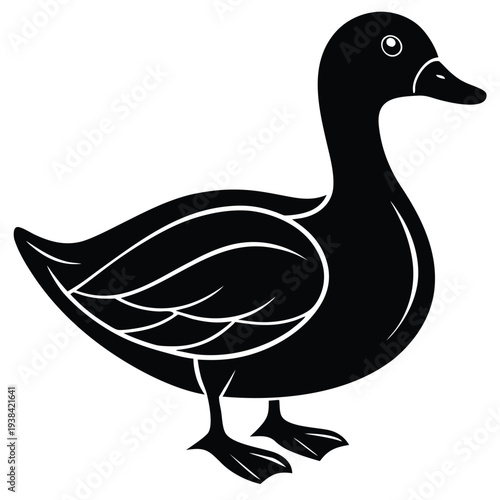 duck illustration vector