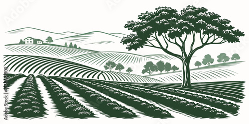 A serene landscape of rolling hills covered with rows of crops and a large tree Vector
