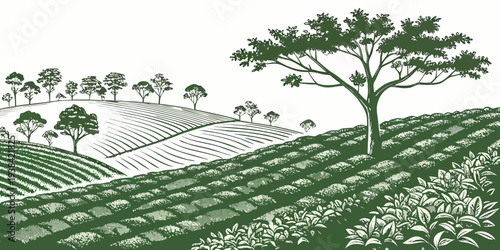 A serene landscape featuring rolling hills and a cluster of trees in the distance Vector
