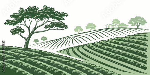 A serene landscape of rolling hills covered in lush green grass and dotted with trees. Vector