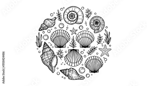Decorative seashell collection with ocean elements black and white line art vector illustration