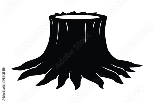 Tree Stump, Cut Trunk Base