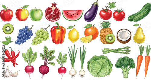 Colorful fruits and vegetables, apple, pomegranate, watermelon, eggplant, tomato, cucumber, kiwi, grapes, bell pepper, lemon, orange, pineapple, coconut, pear, broccoli, carrot, vector illustration