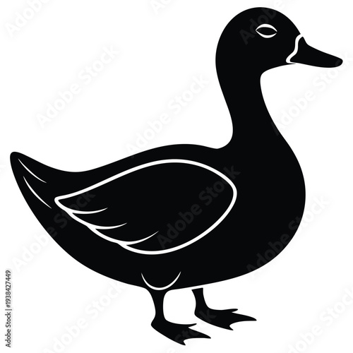 duck illustration vector