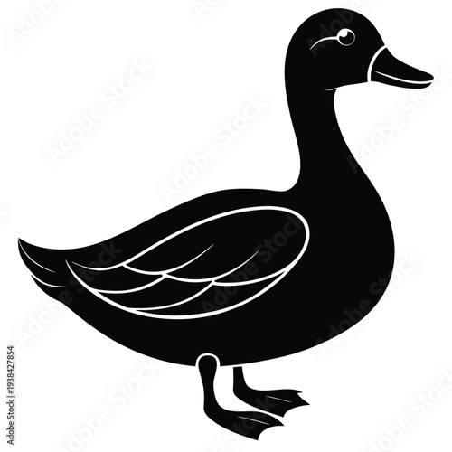 duck illustration vector