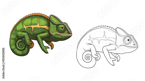Artistic depiction of a green chameleon alongside its black and white line art version for creative coloring fun.