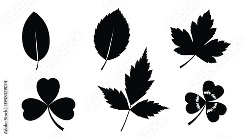 Set of six black silhouettes of various tree and plant leaves used for decorative patterns and natural designs.