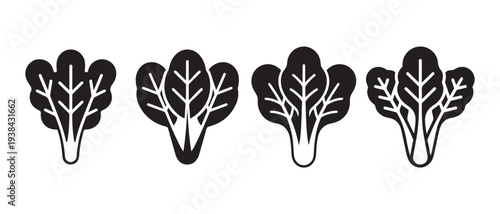 Leafy Green Vegetables Icons. Spinach, Kale, Lettuce Set. Vector Outline and Silhouette Style.