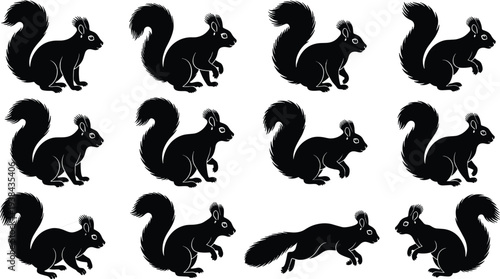 Black squirrel silhouette animation sequence set showing running jumping standing poses vector style isolated on light background wildlife character movement collection for design projects