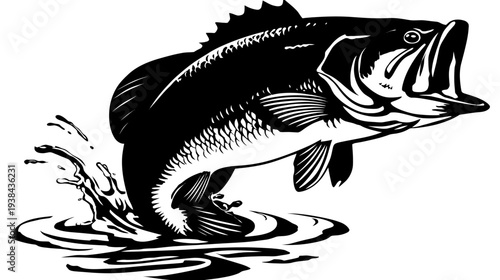 Black and white illustration of a bass fish jumping out of the water