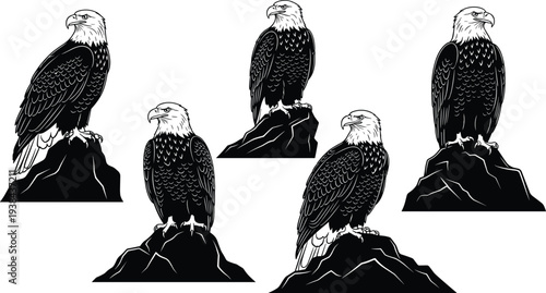 Powerful black and white vector illustration featuring two bald eagles soaring with majestic outspread 