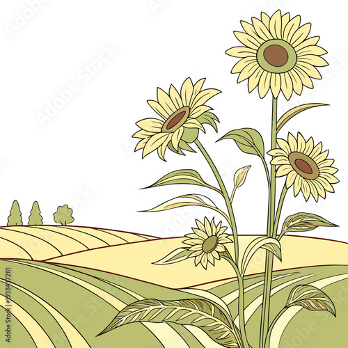 Sunflowers in a field with people walking in the distance Vector