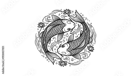 Koi fish pair in circular yin yang composition black and white line art vector illustration