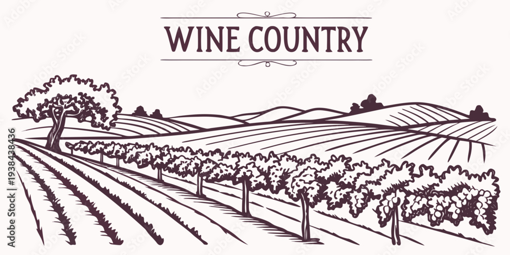 Fototapeta premium A picturesque vineyard in the wine country with rows of grapevines under a clear sky Vector