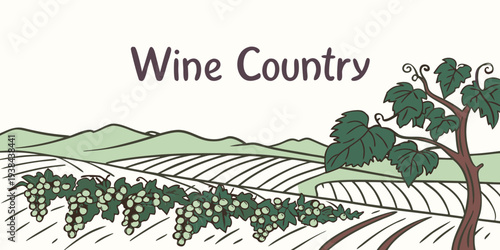 Scenic vineyard landscape with rolling hills and a clear blue sky Vector