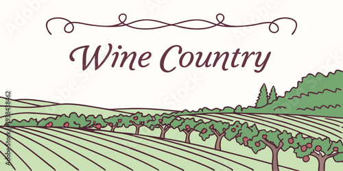 A picturesque vineyard in wine country with rolling hills and grapevines Vector