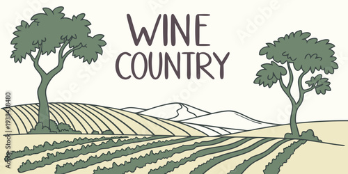 Vineyards under a clear blue sky with trees in the distance. Vector