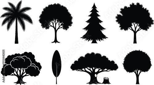 Set of black tree silhouettes including palm pine oak and deciduous types isolated on white background for nature landscape graphic design