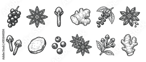 Set of vintage hand-drawn spice illustrations featuring star anise, cloves, ginger, peppercorn, and allspice in a detailed black and white engraving or woodcut sketch style
