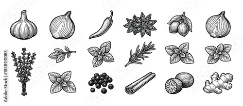 Large set of herbs and spices for cooking in a vintage black and white engraved illustration style, showing garlic, onion, ginger, cinnamon, basil, and rosemary