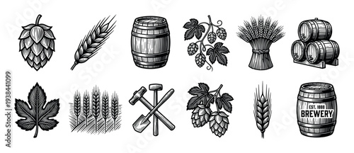 Set of vintage brewery illustrations featuring hops, wheat, barley, wooden barrels, and crafting tools in a detailed black and white engraving style for beer-related designs