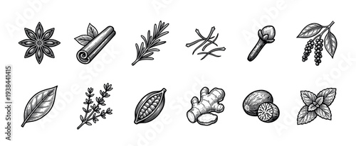Detailed set of spices and herbs drawn in a vintage woodcut style, featuring star anise, cinnamon, rosemary, saffron, clove, pepper, bay leaf, thyme, ginger, and mint