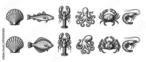 Set of vintage seafood illustrations including scallop, cod, lobster, octopus, crab, shrimp, and flounder, drawn in a detailed black and white engraving or woodcut style
