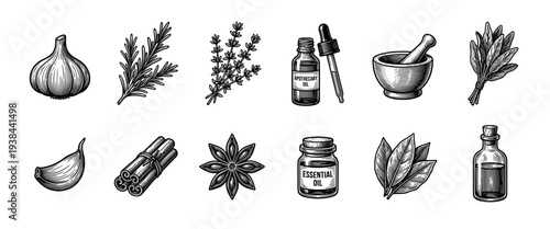 Hand-drawn set of apothecary herbs and spices in a vintage woodcut style, showing garlic, rosemary, sage, cinnamon, essential oil bottles, and a mortar with pestle
