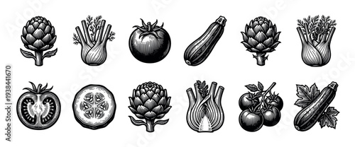 Collection of vintage style vegetable illustrations featuring artichoke, fennel, tomato, and zucchini in a detailed black and white engraving or woodcut technique
