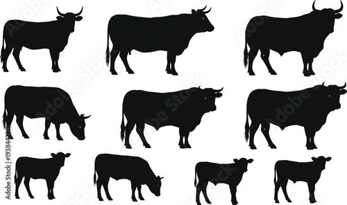 Black silhouette of people holding up mobile phones standing in a row for concert event fan audience or digital communication