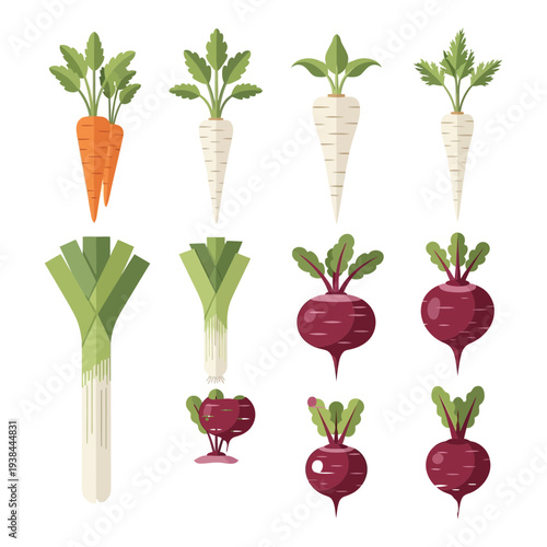 Colorful root vegetable illustrations silhouette on transparent background carrot beet