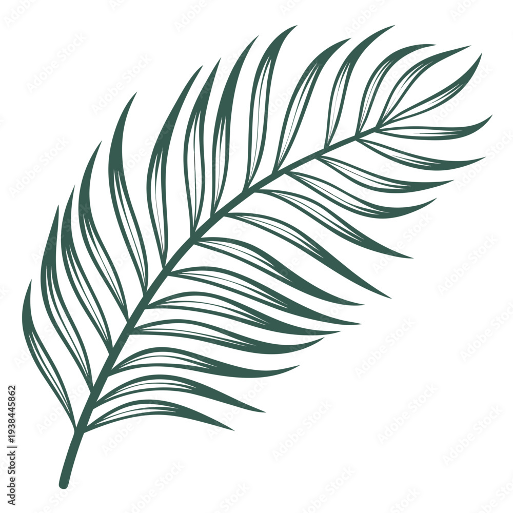 Fototapeta premium A single, elegant, and intricately detailed palm leaf with a dark green color. Vector