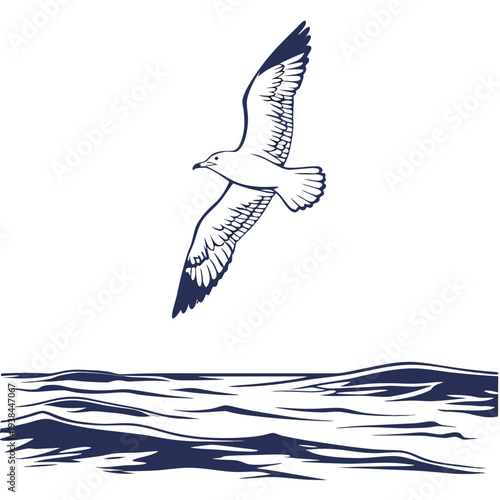 A seagull soaring gracefully over the ocean waves Vector