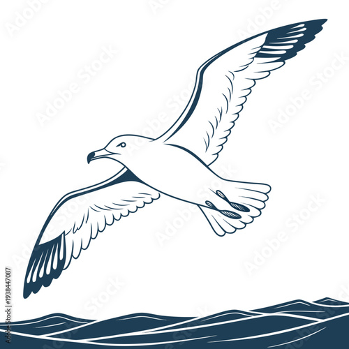 A seagull flying over the ocean with its wings spread wide. Vector