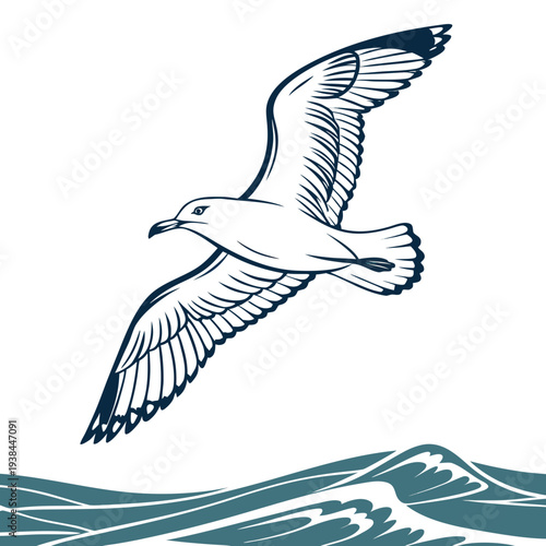 A seagull soaring over the ocean waves with its wings spread wide Vector