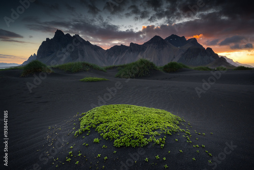 Картината върху платно Vestrahorn Mountain towers dramatically over wind-sculpted black sand dunes at S