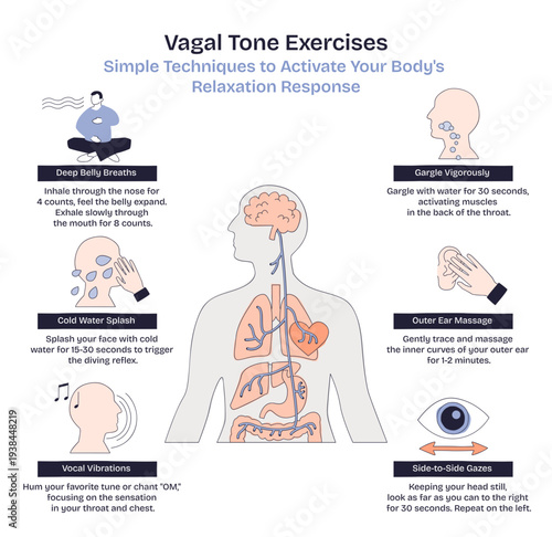 Vagal tone exercises overview showing relaxation methods, key objects, human silhouette, vagus nerve path, technique icons that guide breath, gargle, and ear massage, transparent background.