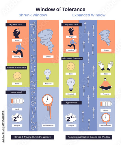 Window of Tolerance overview compares shrunk and expanded states, mapping hyperarousal to hypoarousal with a balanced zone, arrows, tornado, lightbulb highlight regulation processes.