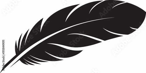 A striking black feather illustration with white highlighting details