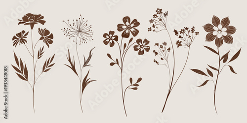 Vintage botanical illustration featuring various stylized wildflower stems and blooms