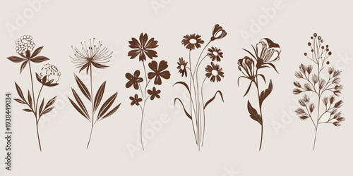Vintage botanical illustration featuring a variety of sketched wildflower designs