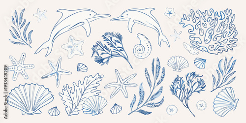 Blue line art illustration of marine life and coral reef elements