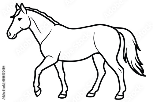 Horse, Equine Drawing
