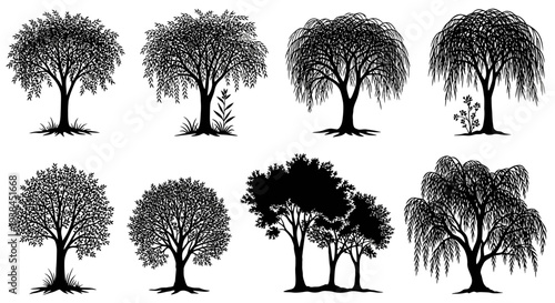 Collection of Black and White Silhouette Trees - Various Styles and Shapes